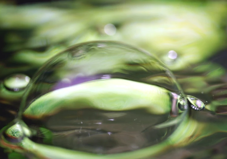 water droplets of green color on green surface