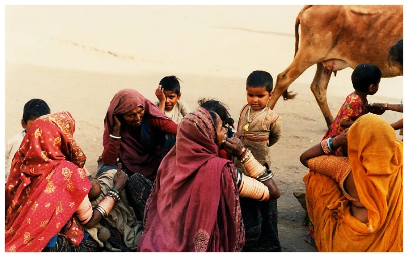 a group of people sitting next to a cow