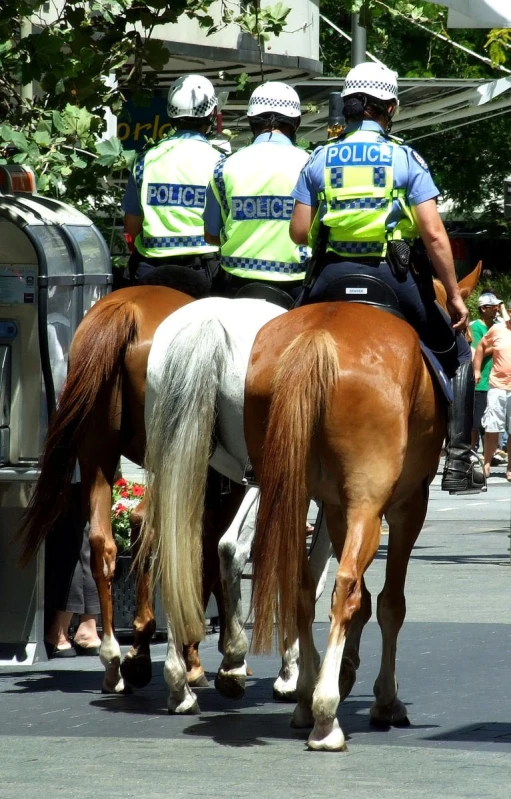 two police officers riding horses down the road