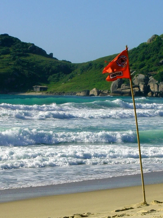 red flag on a beach near the water