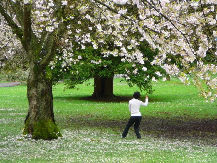 a person that is holding some kind of flower in his hand