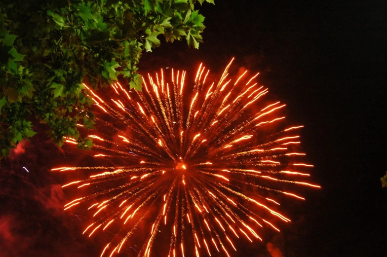 a large fireworks is lit up in the night sky