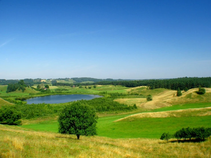 the grassy field is next to the pond