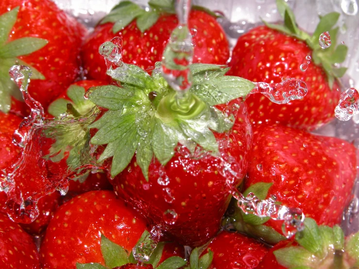 fresh strawberries sit in a glass container covered with ice