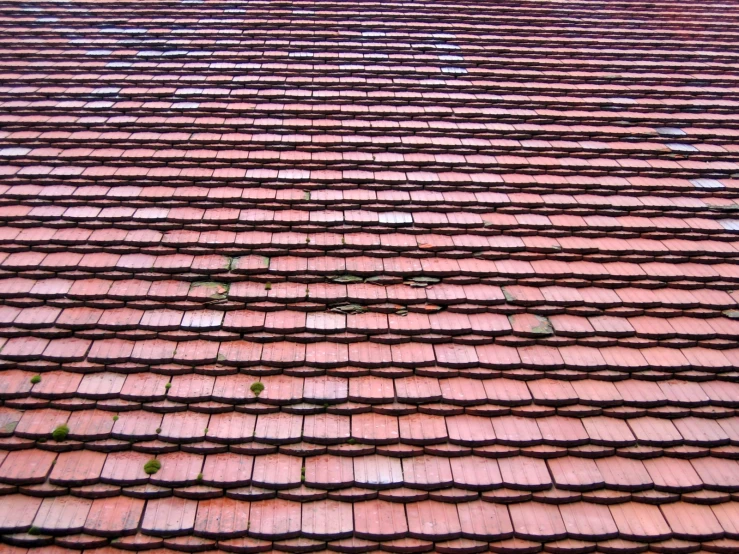 a brown roof is being tiled with vines