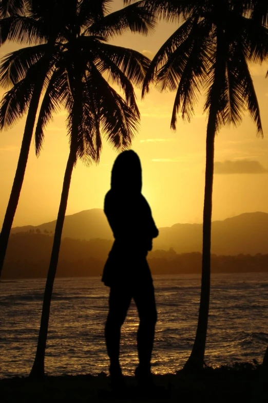 the silhouette of a woman standing on beach near palm trees