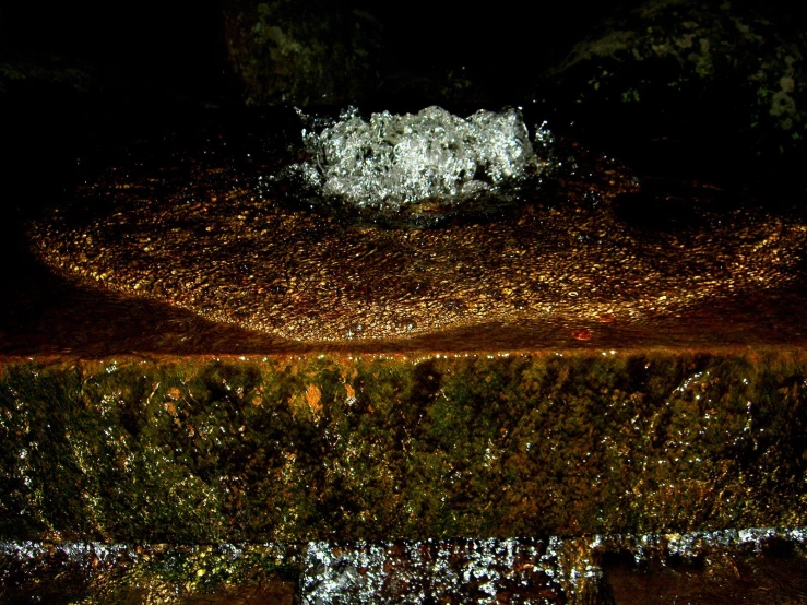 a closeup view of the top of a garden in winter