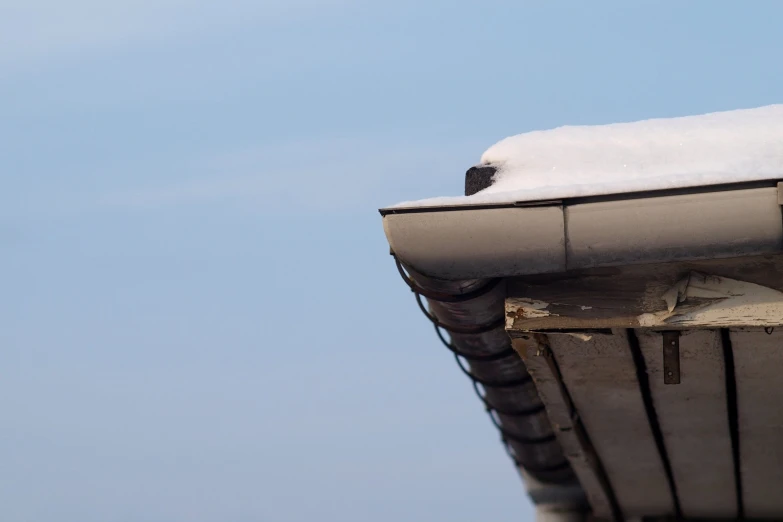 a pigeon is perched on top of the roof