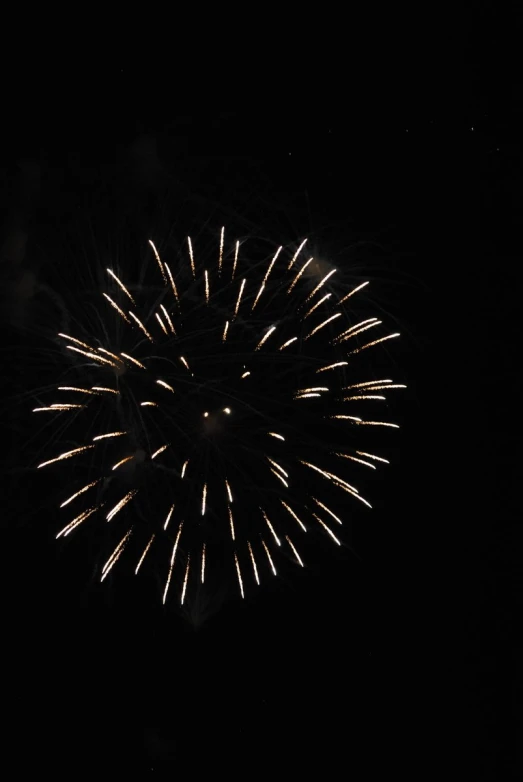 a dark picture shows the bright fireworks that are bursting