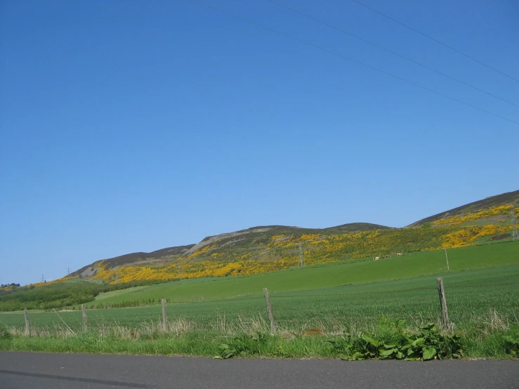 some hills with yellow flowers are behind a fence