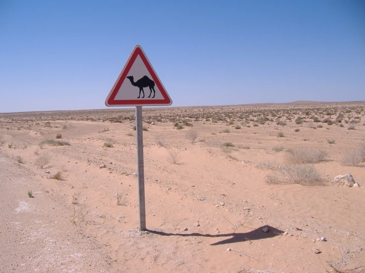 a camel crossing sign in the middle of the desert