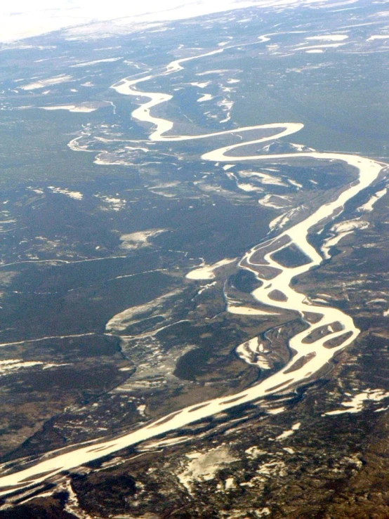 a river meanders through a forest of trees