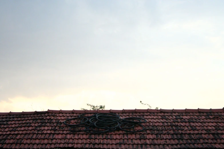 an upclose image of a roof with a bird flying over it
