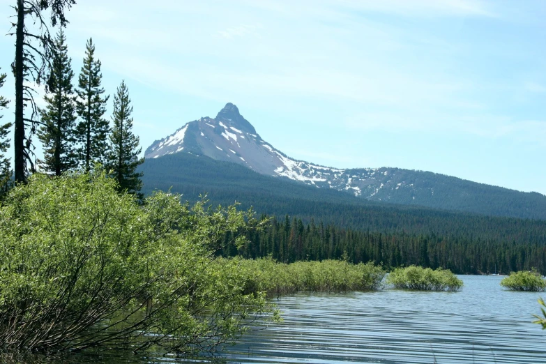 a mountain sitting on top of a lake next to a forest