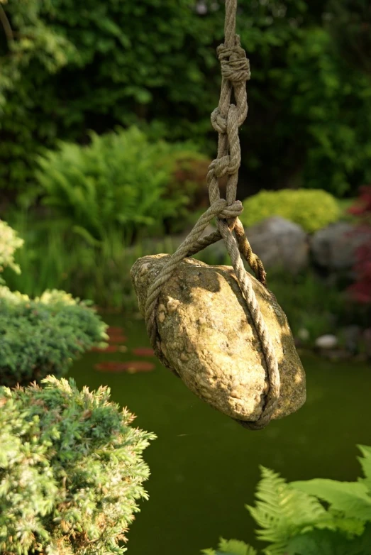 stone hanging in rope next to water and plants