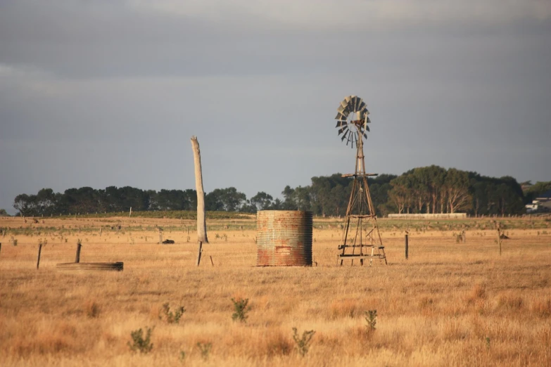 a tree that is next to a pile of hay