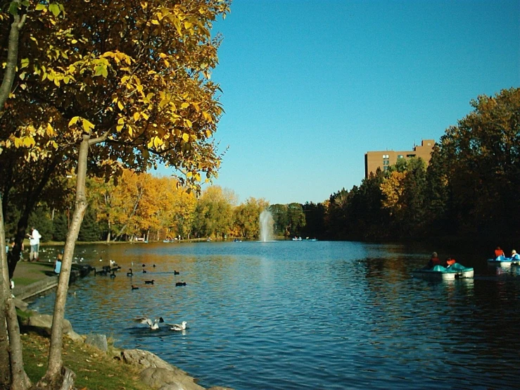 a small boat floats near a lake with ducks and other ducks