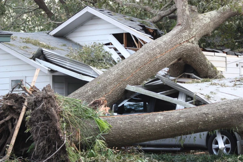 a house with a tree that has been crushed in