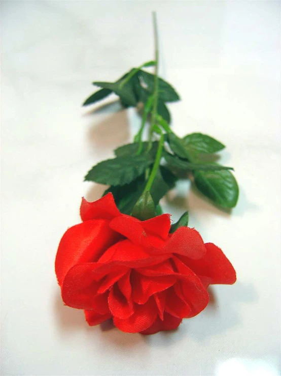 a single red rose is sitting on a white table