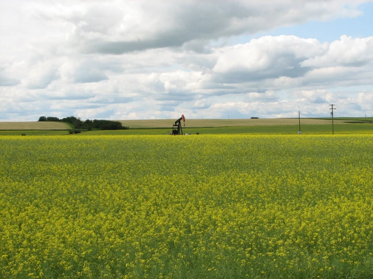 a farm tractor is parked in the green field