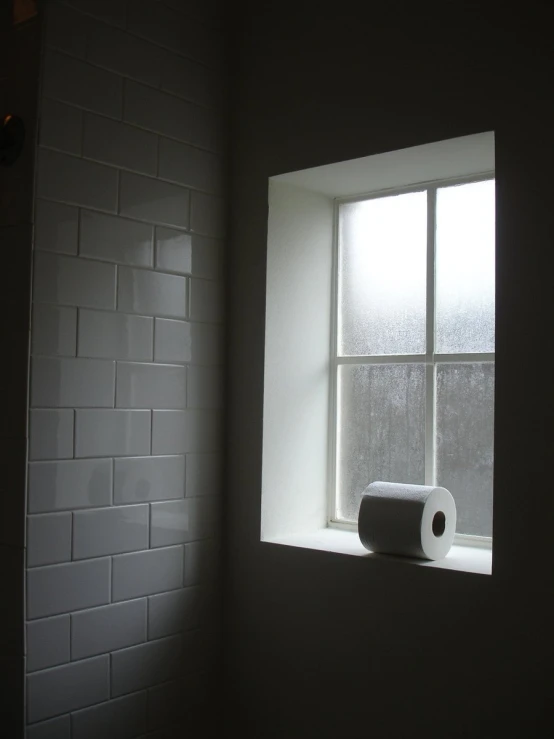 a bathroom with toilet paper leaning against a window