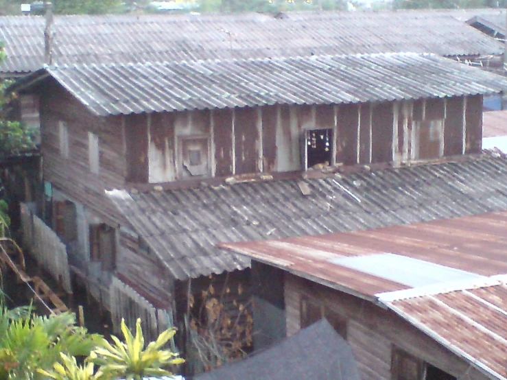 looking out the window of an old house