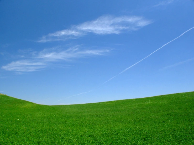 this is an image of a green field with kites in it