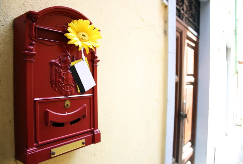 a yellow flower sticking out of an empty mail box