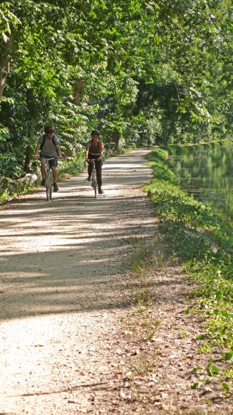 people riding bikes along a tree lined path