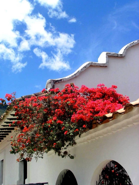 bright pink flowers adorn a roof on an old spanish - style church