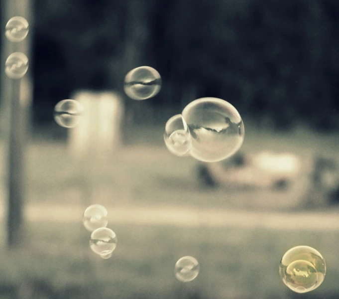 small bubbles in the air by a tree