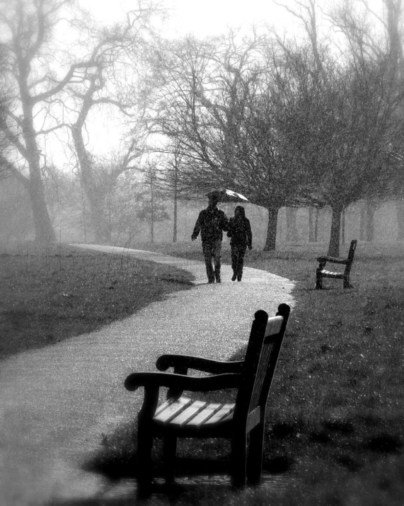 people walking in a foggy park holding an umbrella