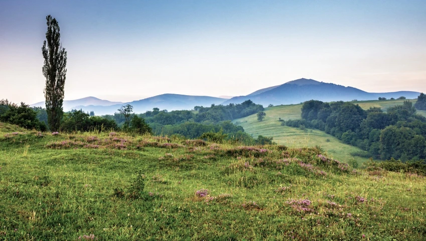 a bench on a grassy hill overlooking mountains