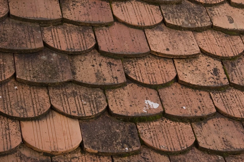 a brown shingled roof with white dots