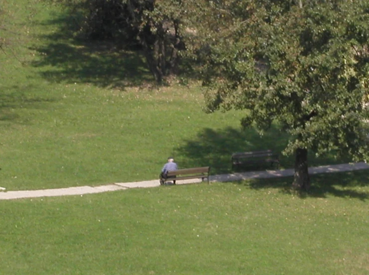 a person on a bench on some grass