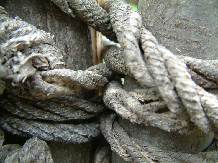 a closeup view of the knotted rope