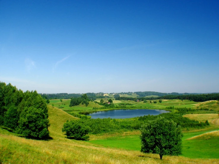 a view of a valley with grass, trees and water