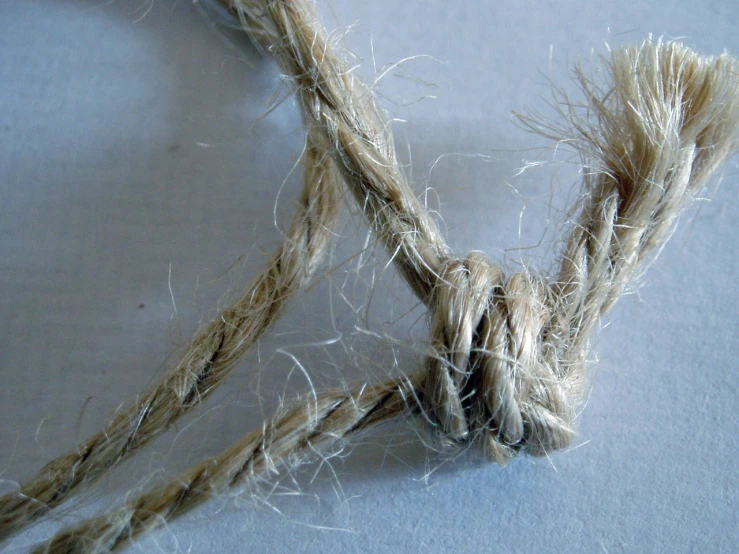 two twisted up ropes lying on the floor