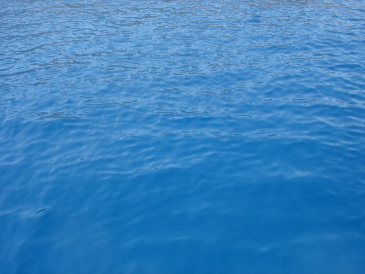 blue water that is reflecting sunlight on the horizon