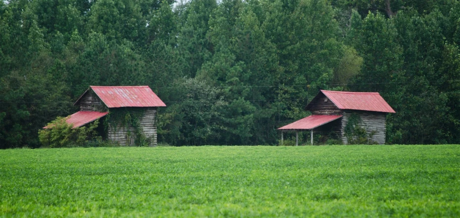 two small buildings in a lush green field