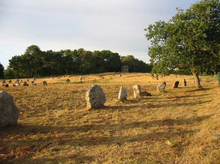 large rocks sitting in a field near trees