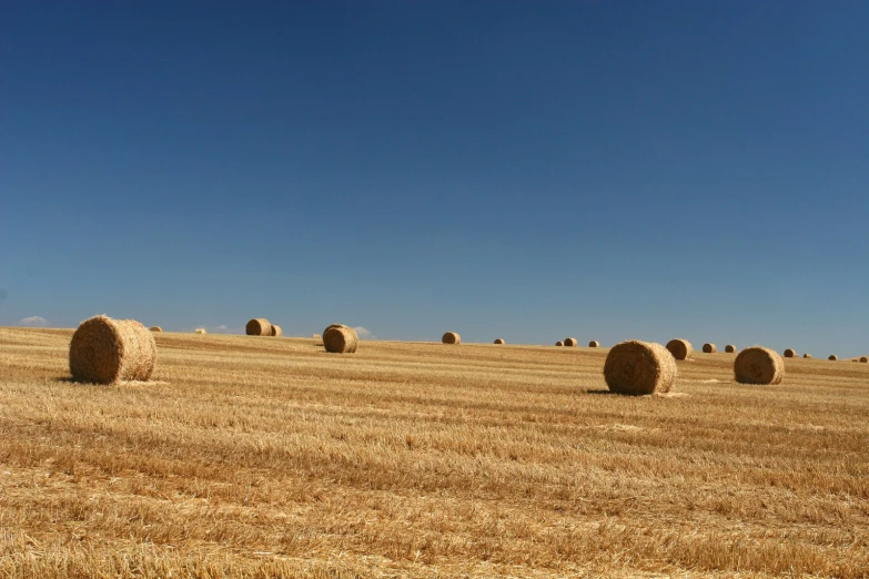 a large field with rows of hay bales