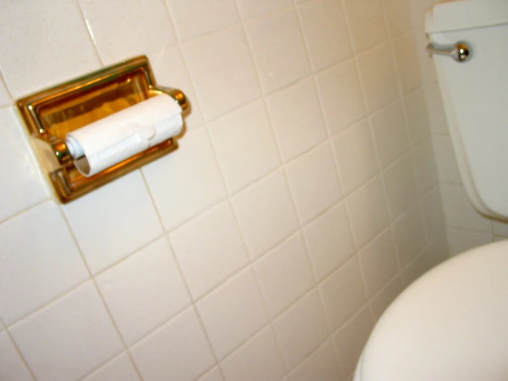 a roll of toilet paper hanging from the bathroom wall