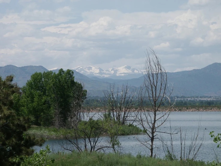 mountains are behind the lake and trees in the foreground