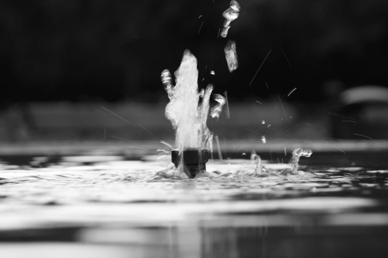 a black and white picture of water spouting out of it's back