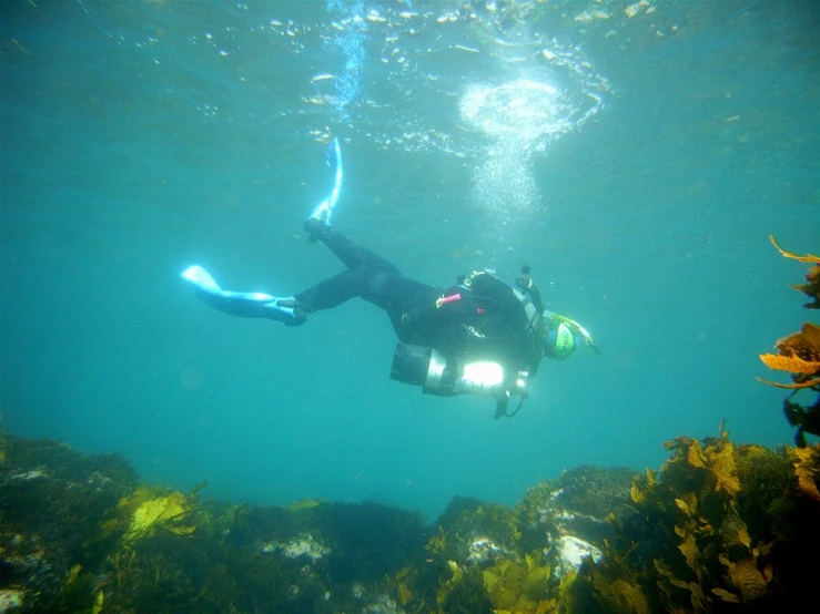 a person with snorkeld swimming under water