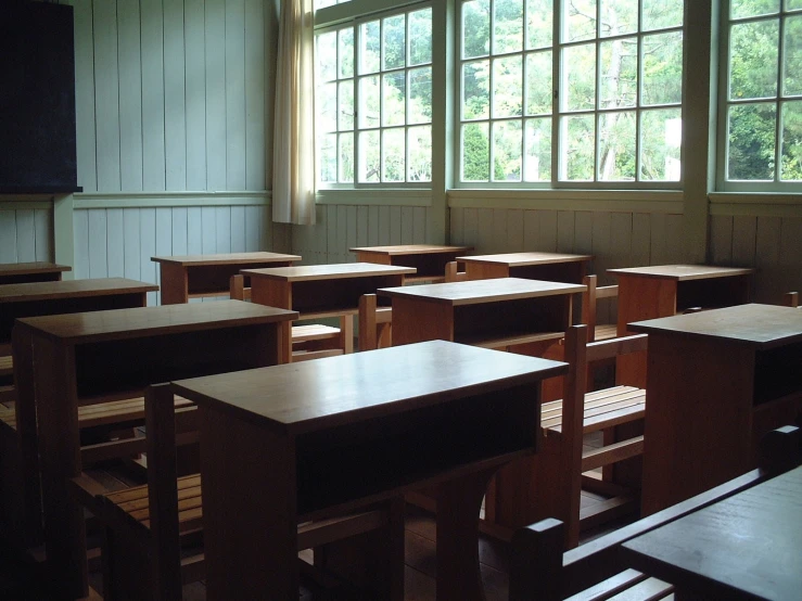 the wooden tables and chairs in the classroom have many different kinds of seats