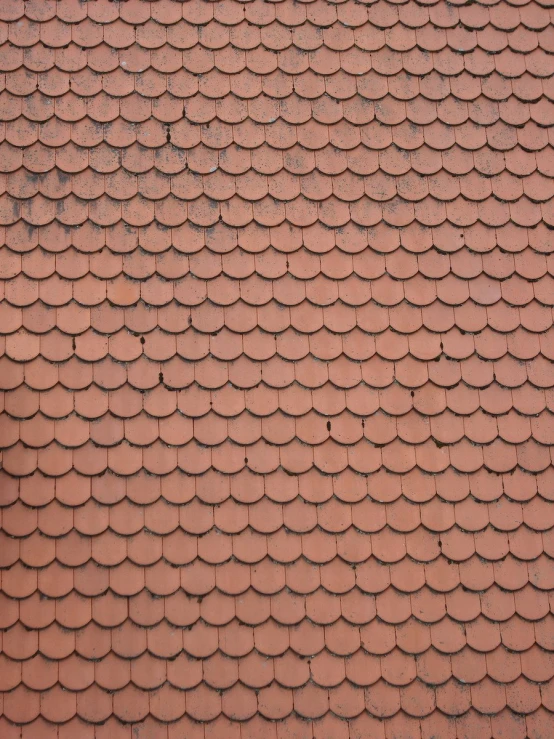 red tile roof with small circular tiles on it