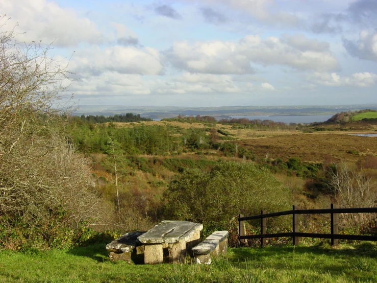 a bench sitting on top of a lush green field