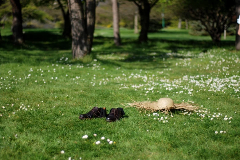 an empty hat on the grass in the park